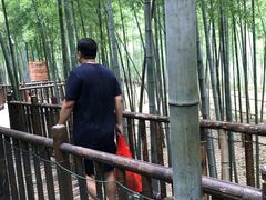 -陶祖圣境风景区