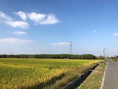-嘉北郊野公园