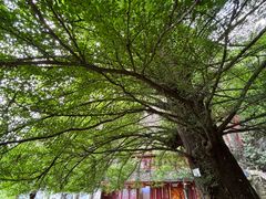 -大慈岩风景区