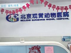 -北京观赏动物医院·24小时大型综合·猫专科·异宠专科