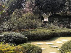 -南山植物园