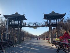 -呀路古热带植物园