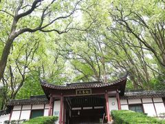 -上海佘山国家森林公园天马山园