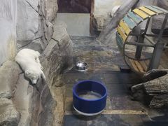 -梦幻海洋王国(吾悦广场张家港店)