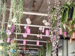-溪岸路花鸟市场