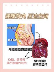 -薇薇安花系SPA