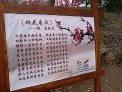-南宁花花大世界景区