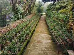 -南山植物园