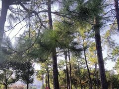 -美兰湖景区