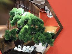 -洞庭家宴·头牌甲鱼(广渠门店)