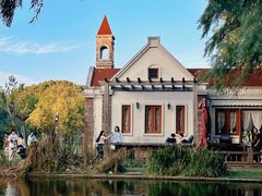 -上海共青森林公园