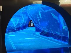 -成都浩海立方海洋公园