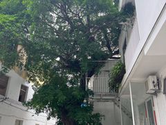 -北岐滩涂