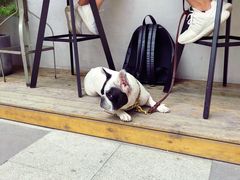 -RAC BAR(安福路店)