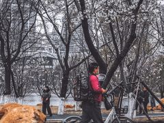 -西北湖绿化广场