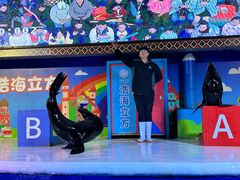 -成都浩海立方海洋公园