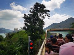 -Big Bus Tours 敞篷观光巴士