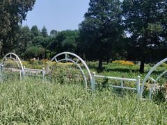 -北京植物园南门售票处