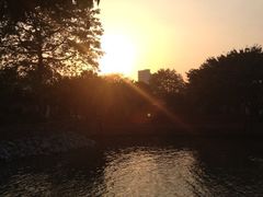iphone_upload_pic-喜洲吧·江畔老船厂·庭院餐厅(喜临院店)