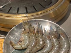 -杨小佳·齐齐哈尔烤肉·烤串(广州店)