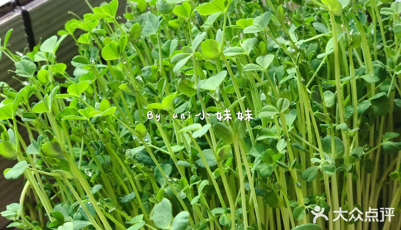 虽然疫情还未结束，但是说好的春天永远不会缺席。