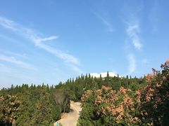 -龙口南山旅游景区