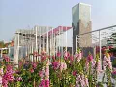 -海心沙亚运公园