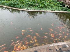 -北黄海温泉度假村