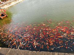 -建水文庙