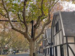 -一尺花园(安和花园店)