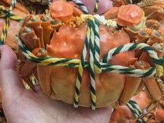 -七的湖·江南蟹舫·阳澄湖农家菜(蟹舫苑店)