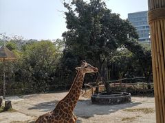 -深圳野生动物园
