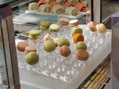 马卡龙-白天鹅宾馆·流浮阁咖啡厅