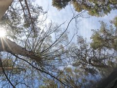 -黑龙江省森林植物园