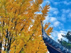-龙华寺