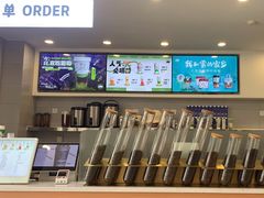 -雾与山茶(大禹城店)