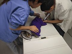 -宠颐生宠物医院·犬猫全科·皮肤科(商业街店)