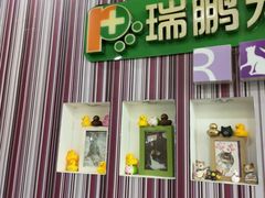 -瑞鹏·疫苗·绝育·宠物医院(金沙洲店)