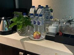 -北京长白山国际酒店(鸟巢店)