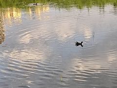 -保定东湖公园(莲池区)