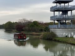 -苏州太湖国家湿地公园