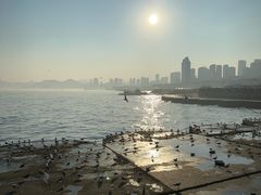 -星海广场