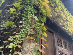-滋啦啦油煎铺一乌镇萝卜丝饼