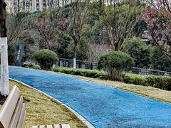 -七宝老街-闵行市民文化广场