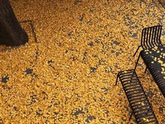 -旺福楼·包点(碑亭巷店)