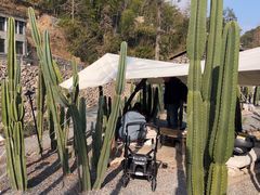 -MOJ coffee(瓯海泽雅水碓坑店)