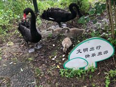 -长兴太湖图影湿地文化园