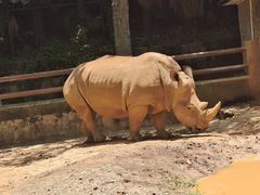 -昆明动物园
