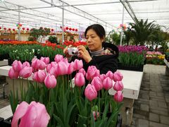 -北京植物园-展览温室