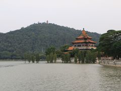 -顺峰山公园